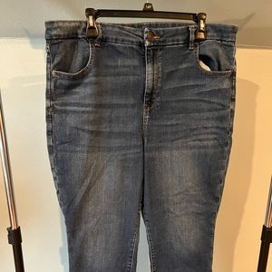 American Eagle Curvy High Rise Jegging - Plus Size